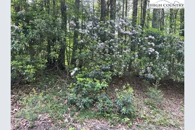 Lot 66 Daves Connector, Jefferson, NC 28640 - Photo 18