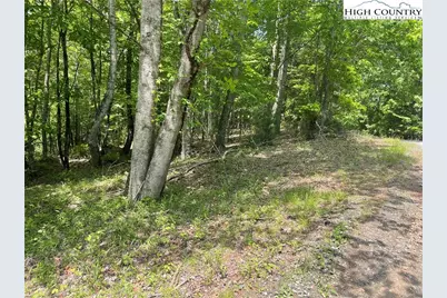 Lot 66 Daves Connector, Jefferson, NC 28640 - Photo 22