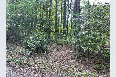 Lot 66 Daves Connector, Jefferson, NC 28640 - Photo 16