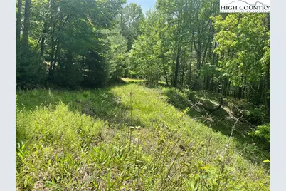 Lot 66 Daves Connector, Jefferson, NC 28640 - Photo 2