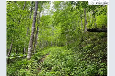 Tbd Ben Bolen Road, Creston, NC 28615 - Photo 8