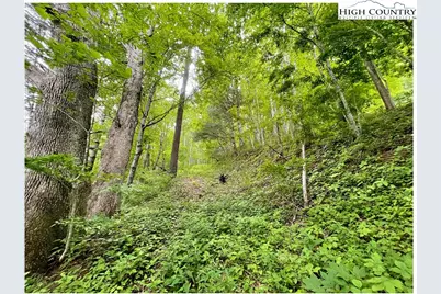 Tbd Ben Bolen Road, Creston, NC 28615 - Photo 1