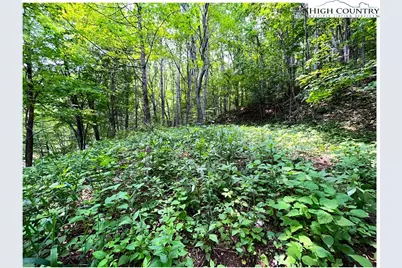 Tbd Ben Bolen Road, Creston, NC 28615 - Photo 14