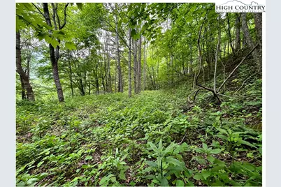 Tbd Ben Bolen Road, Creston, NC 28615 - Photo 12