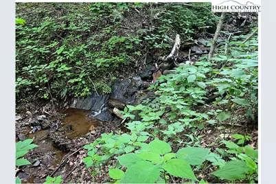 Tbd Ben Bolen Road, Creston, NC 28615 - Photo 4