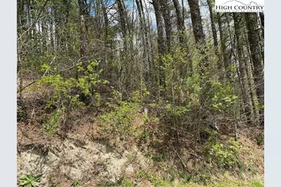 Tbd New River Overlook (Lot 7), West Jefferson, NC 28640 - Photo 16