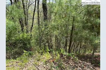 Tbd New River Overlook (Lot 7), West Jefferson, NC 28640 - Photo 6