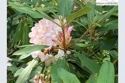 Tbd New River Overlook (Lot 7), West Jefferson, NC 28640 - Photo 30