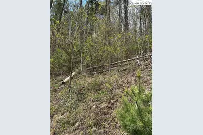 Tbd New River Overlook (Lot 7), West Jefferson, NC 28640 - Photo 14