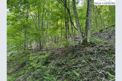 Lot 13 Larkspur Road, Beech Mountain, NC 28622 - Photo 12