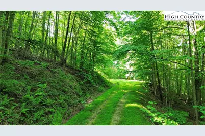 Lot 13 Larkspur Road, Beech Mountain, NC 28622 - Photo 1