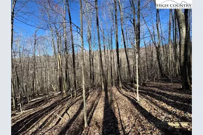 Lot 13 Larkspur Road, Beech Mountain, NC 28622 - Photo 18