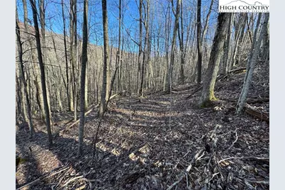 Lot 13 Larkspur Road, Beech Mountain, NC 28622 - Photo 2