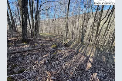 Lot 13 Larkspur Road, Beech Mountain, NC 28622 - Photo 8