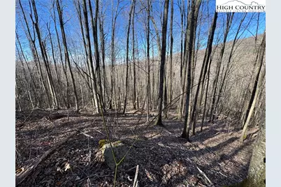 Lot 13 Larkspur Road, Beech Mountain, NC 28622 - Photo 6