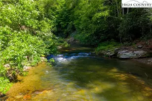 1369 Anderson Hill Rd, Lansing, NC 28643 - Photo 4