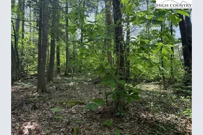 Lot 42 Linville River Lane, Linville, NC 28646 - Photo 2