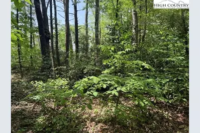 Lot 42 Linville River Lane, Linville, NC 28646 - Photo 6
