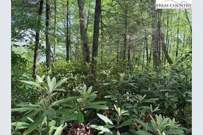 Lot 42 Linville River Lane, Linville, NC 28646 - Photo 4