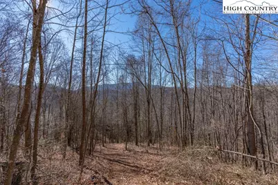 3000 Elk River Road, Elk Park, NC 28622 - Photo 1