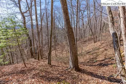 3000 Elk River Road, Elk Park, NC 28622 - Photo 10