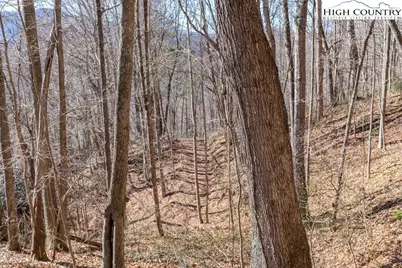 3000 Elk River Road, Elk Park, NC 28622 - Photo 14