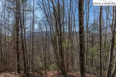 3000 Elk River Road, Elk Park, NC 28622 - Photo 8