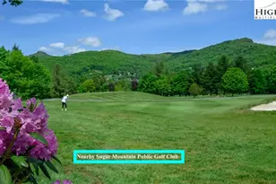 1664 Grouse Moor Dr, Sugar Mountain, NC 28604 - Photo 32