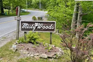 1664 Grouse Moor Dr, Sugar Mountain, NC 28604 - Photo 4