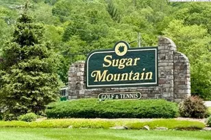 1664 Grouse Moor Dr, Sugar Mountain, NC 28604 - Photo 20