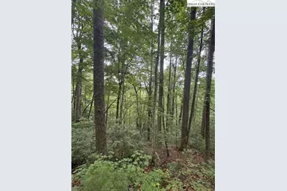 11 Wagon Ridge Road, Ferguson, NC 28624 - Photo 6