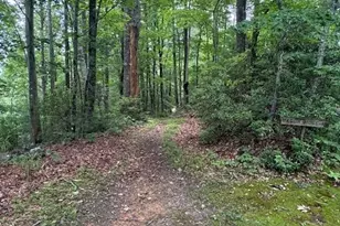 11 Wagon Ridge Rd, Ferguson, NC 28624 - Photo 1