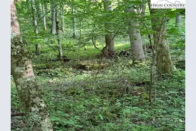 Tract 5 Oak Trail, Creston, NC 28615 - Photo 14