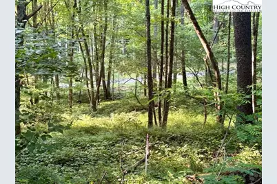 Tract 5 Oak Trail, Creston, NC 28615 - Photo 6