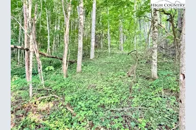 Tract 5 Oak Trail, Creston, NC 28615 - Photo 4