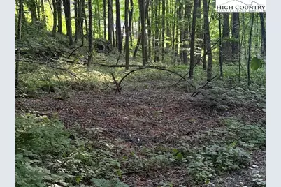 Tract 5 Oak Trail, Creston, NC 28615 - Photo 8