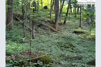 Tract 5 Oak Trail, Creston, NC 28615 - Photo 12