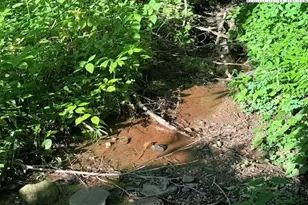 Tract 5 Oak Trail, Creston, NC 28615 - Photo 1