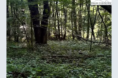 Tract 5 Oak Trail, Creston, NC 28615 - Photo 10