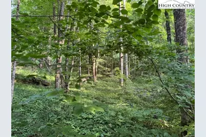 Tract 5 Oak Trail, Creston, NC 28615 - Photo 20