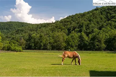 79 Elk Horn Road, Ferguson, NC 28624 - Photo 20