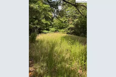 79 Elk Horn Road, Ferguson, NC 28624 - Photo 2