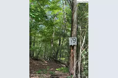 79 Elk Horn Road, Ferguson, NC 28624 - Photo 6