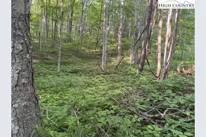 Lot 57 Beechwood Circle, Creston, NC 28615 - Photo 2