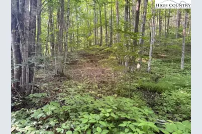 Lot 56 & 57 Beechwood Circle, Creston, NC 28615 - Photo 1