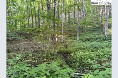 Lot 56 & 57 Beechwood Circle, Creston, NC 28615 - Photo 2