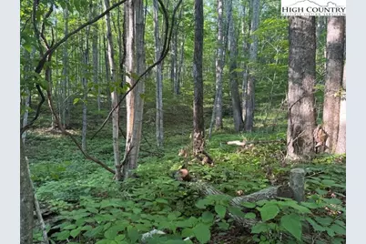 Lot 58 Beechwood Circle, Creston, NC 28615 - Photo 4