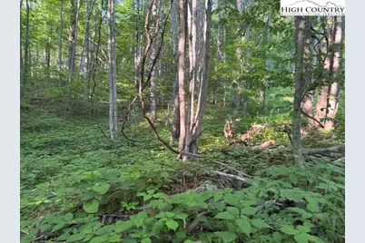 Lot 58 Beechwood Circle, Creston, NC 28615 - Photo 2