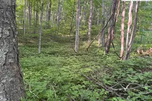 Lot 58 Beechwood Circle, Creston, NC 28615 - Photo 1