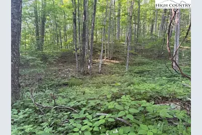 Lot 59 Beechwood Circle, Creston, NC 28615 - Photo 1